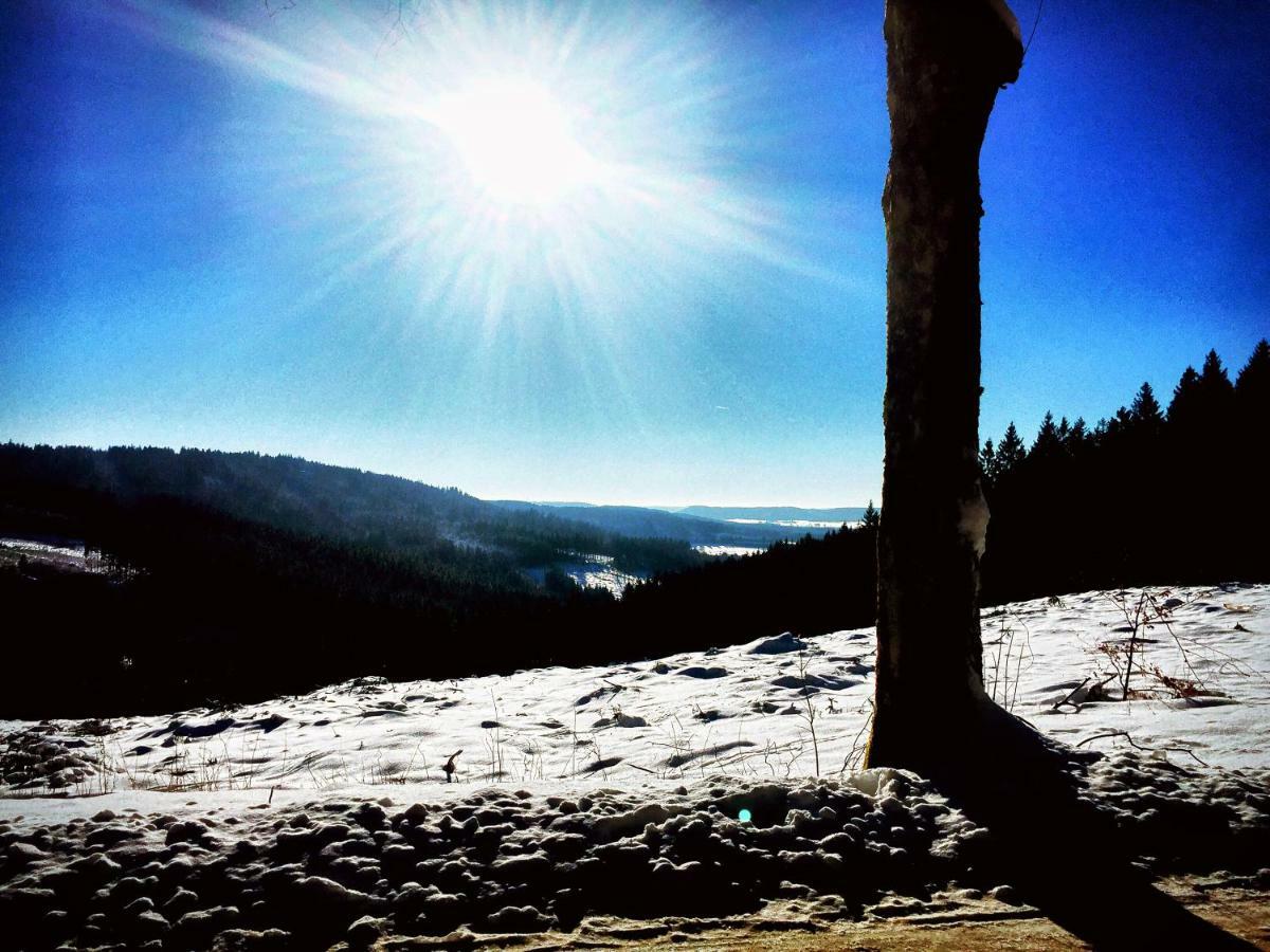 La Reposée du Lac Appartamento Vielsalm Esterno foto